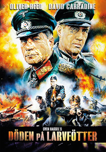 Wheels of Terror (DVD)